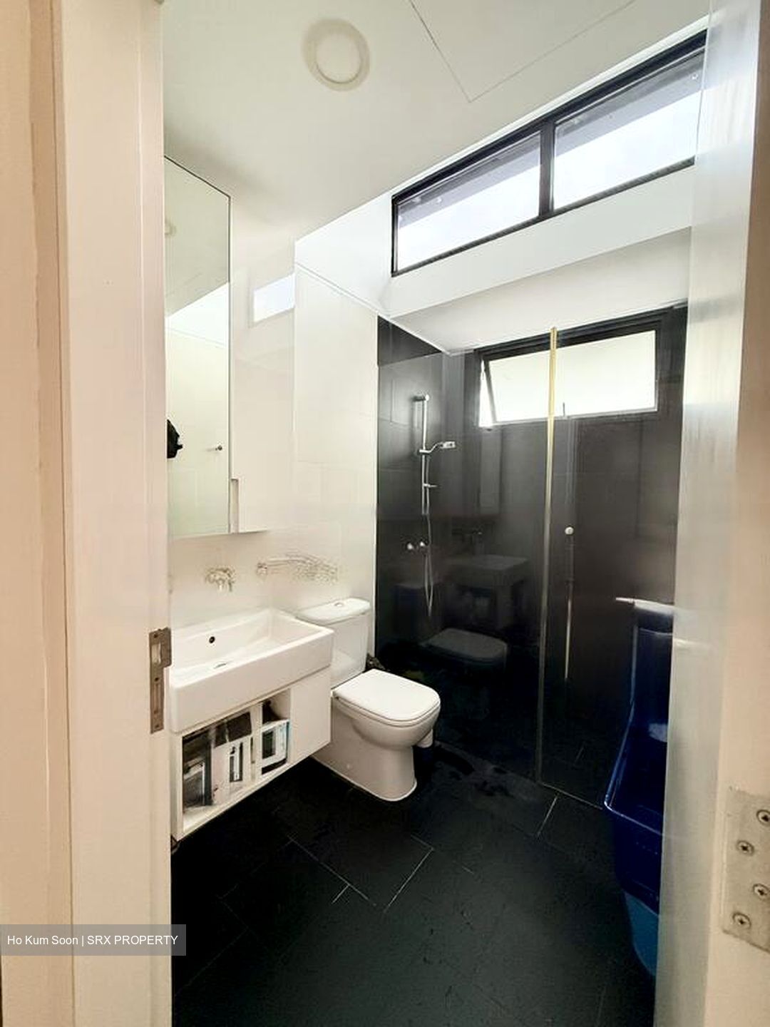 Village @ Pasir Panjang (D5), Condominium #474071051